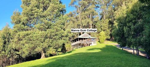 Tall Trees Eco Retreat