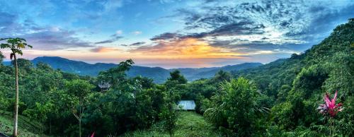 Taorayiná nature lodge- immersed in the forest