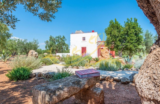 TD Lamia Porta Rossa, Countryside w/Olive Trees