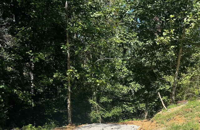 Tent Camping Site 2 Sunset Point