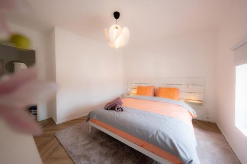 Terminal C - Rosée Stopover