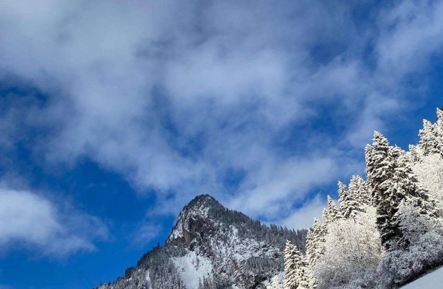 Terrace + parking /8 persons /ski in Torgon