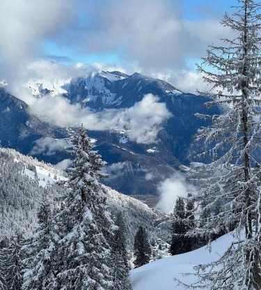 terrasse plus parking pour 8 personnes au ski à Torgon