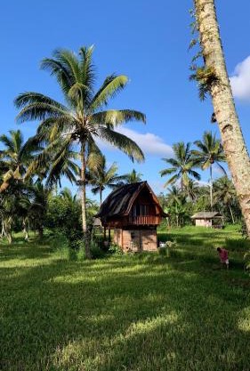 Tetebatu Rice field bliss