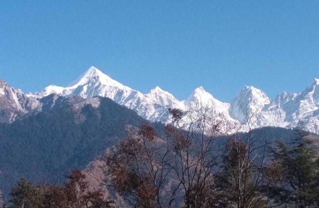 Thakur Homestay Munsyari with Panchachuli view