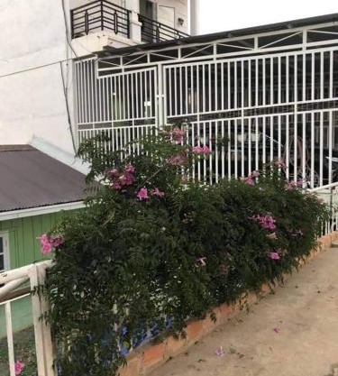 Thanh Ngọc Homestay 1