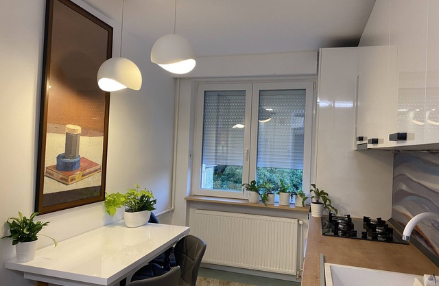 The Apartment is 10 Minutes From the Opera Square