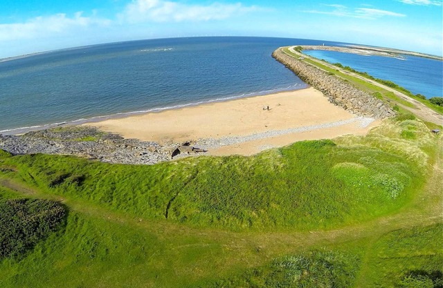 The Bear on the Square