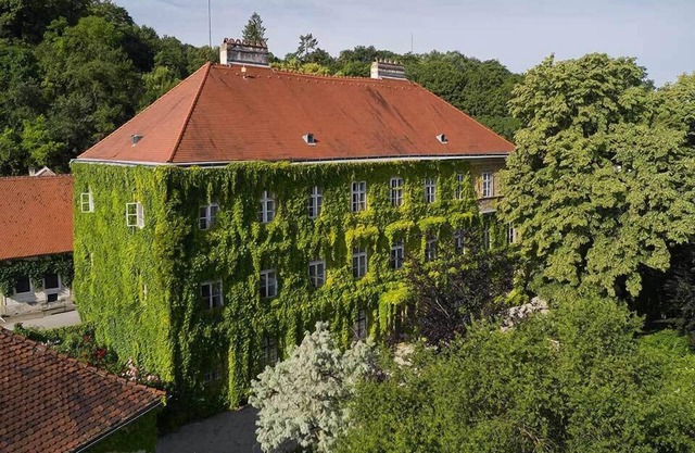 The beautiful Blue at Schloss Hollenburg