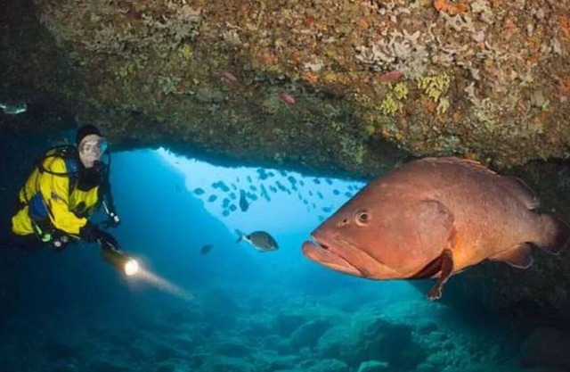 THE Blue House OF THE Costa Brava Arlet s Corner
