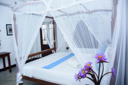 The Ceylon Lazy Lagoon Mirissa