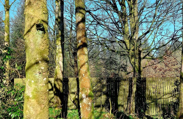 The Coach House, Canonbie