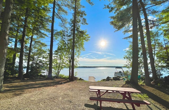 The Cozy Maine Cabin!