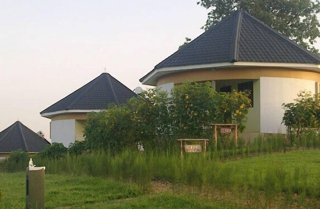 The Crested Crane Bwindi