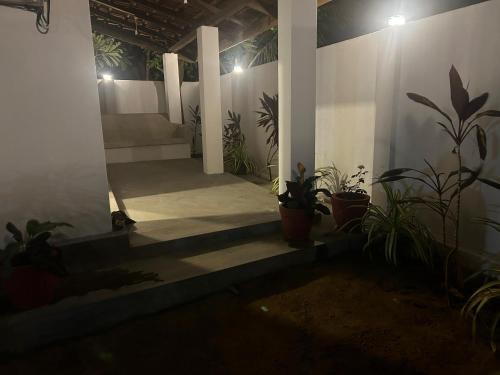 The Eko House
