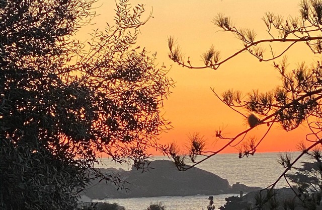 The fisherman's house