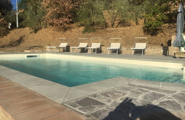 The Garden of Olives