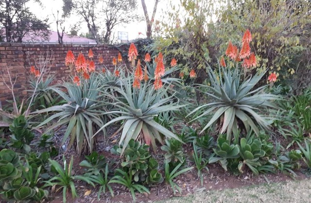 The Greendoor Guesthouse