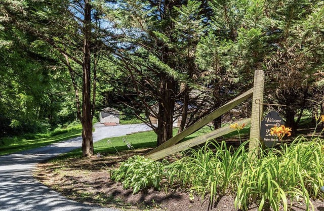 The Honey Spa - a relaxing, sweet retreat in the country. Saunas and more!