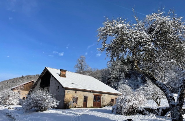 The Hut, in the middle of the woods, not far from the waterfalls