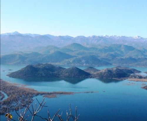 The Island of Prevlaka