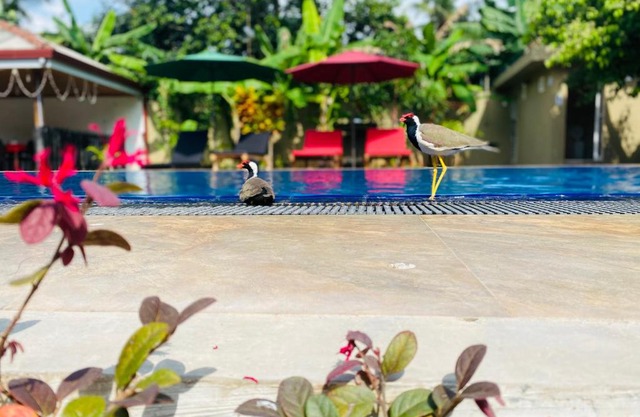 The Kingslayer Resort
