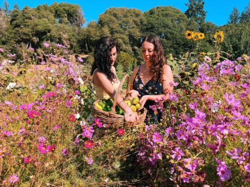 The Land - Luxury Retreat Center In Beautiful Nature - Bay Area Northern California