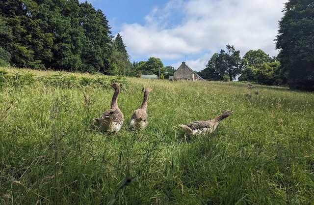 The Lieu Ressource gîte. A peaceful spot in the heart of the Normandy countryside.