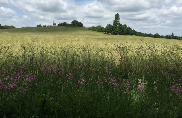 The "Miller's House", Ecolodge for nature lovers