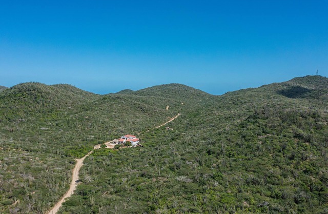 The most unique location nestled into nature with direct acces to nature, caves and national park.