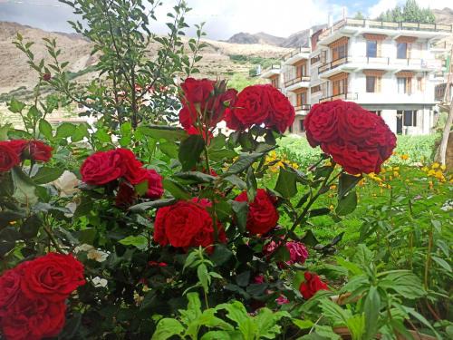 The Mount View Retreat