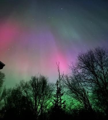 The Northern Lights Oasis