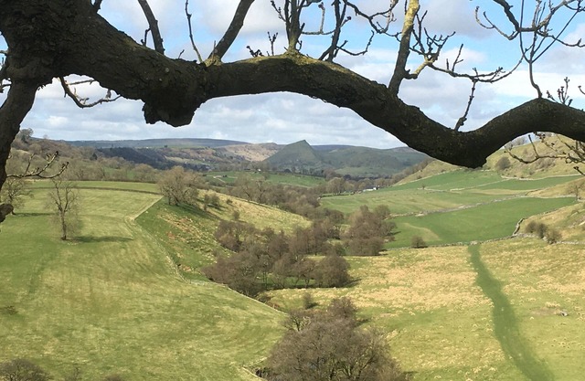 The Orchards, Ilam. Super views, log fire, great walking! Alton Towers 12km