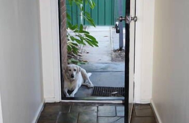 The Palm House:GERALDTON Great value short stay accomodation