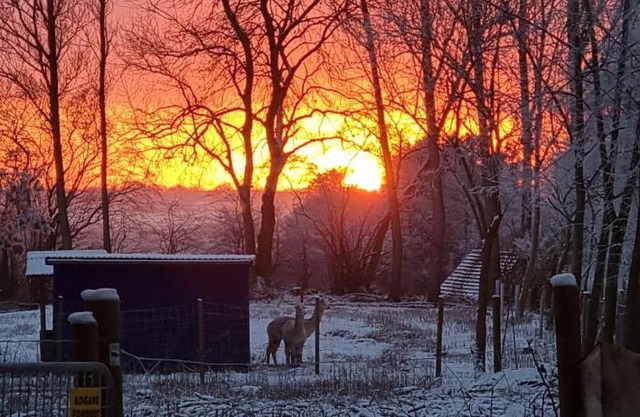 The parrot hotel, live in a rescue animal park