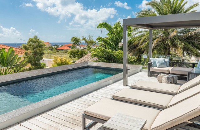 The Pearl of Jan Thiel, private pool, gym and game room 3