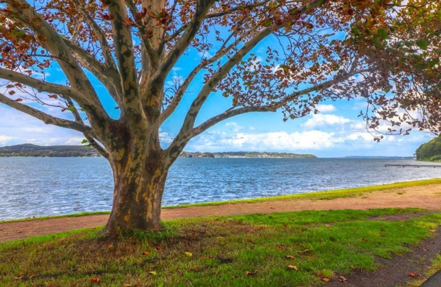 The Pelicans Rest - Close to boat ramp and marina