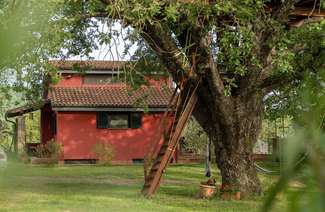 The Red House in the Green Oasis