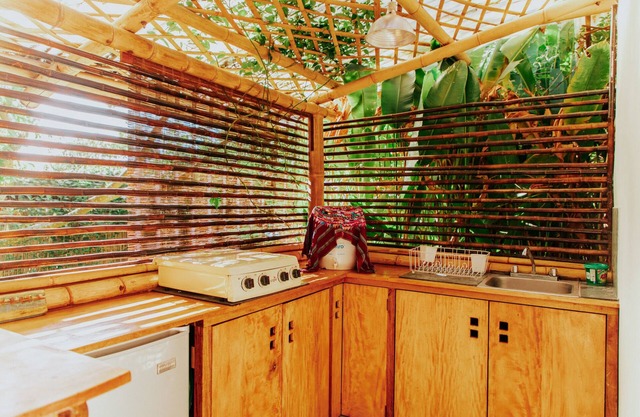 The Seed Habitat