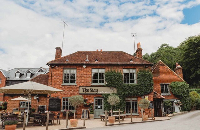 The Stag on the River