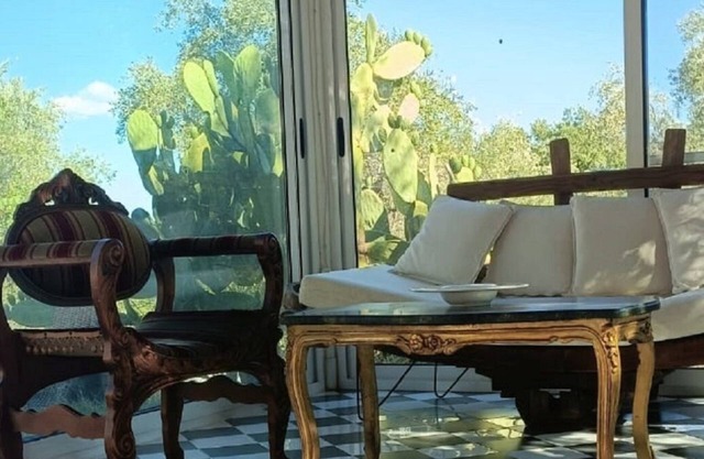 The Three Arches: house nestled among olive trees in the Lucanian countryside.