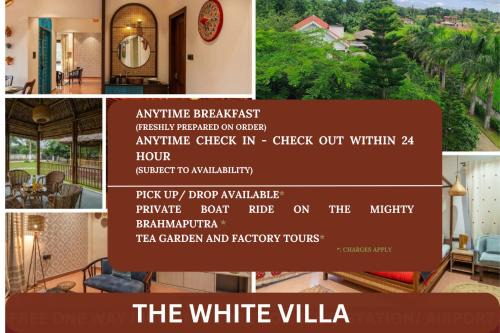 The White Villa- A Luxurious stay rooted in tradition