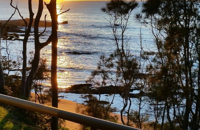 theCOVE North - Absolute Beachfront