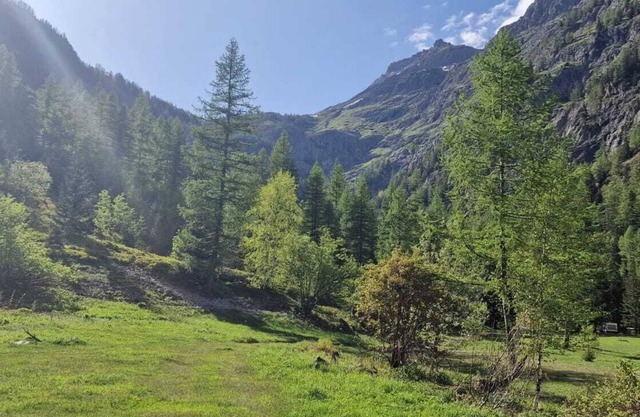 Thelynx.ch : Cosy dome in the alps