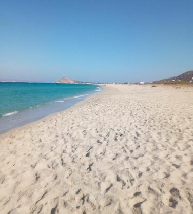 Theoni Apartments Kastraki Naxos