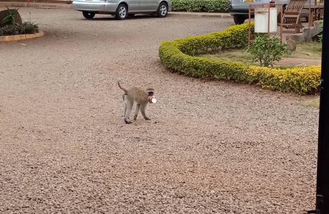 Thika Nairobi Guests House and Accommodation facilities