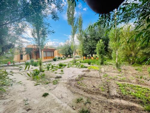 Thiksay Organic Resort and Retreat