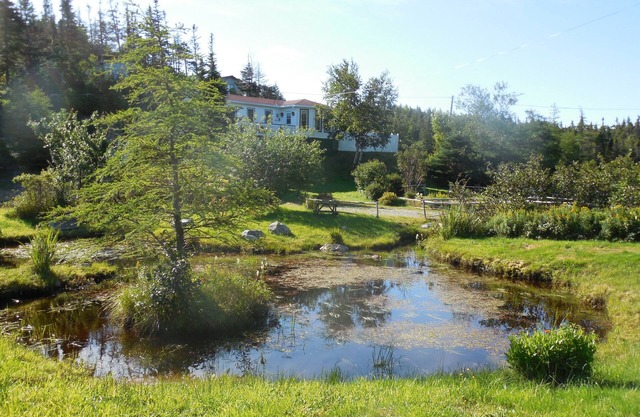 This Cabin Steps from the East Coast trail, fishing ponds and whale Watching!