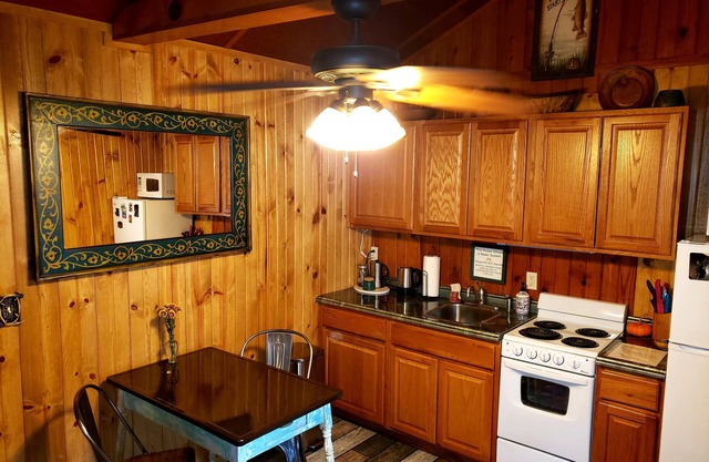 This mountain cabin is perfect for a couple or single person get away.
