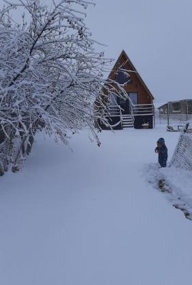 Thomas' Hut